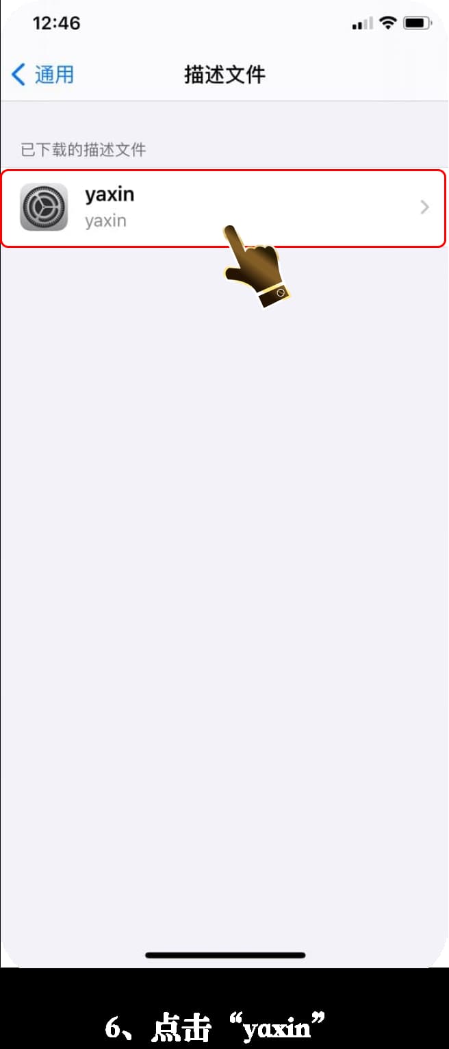 亚星iOS版App安装流程图6